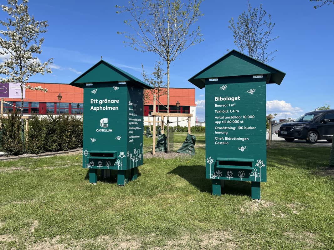 Bikupor på området