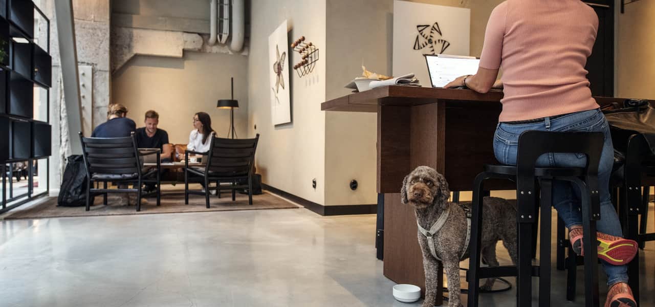 Människor och en hund i hotellet.