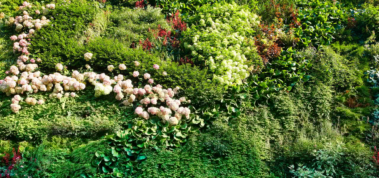 Blommor och grönt gräs