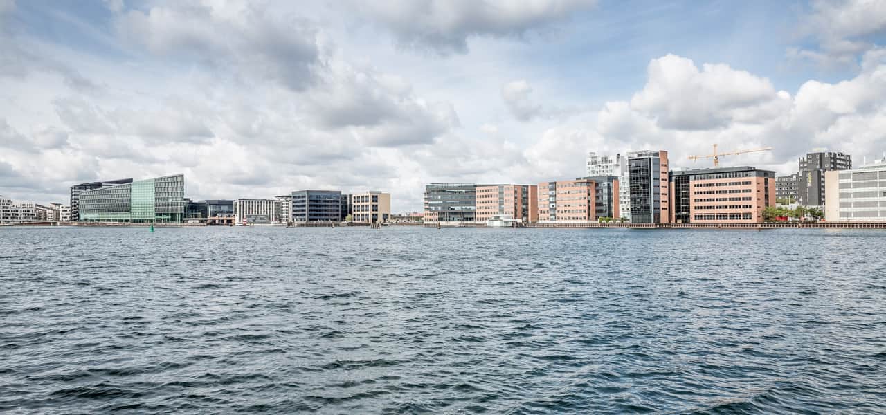 Ett konferensrum fullt med människor