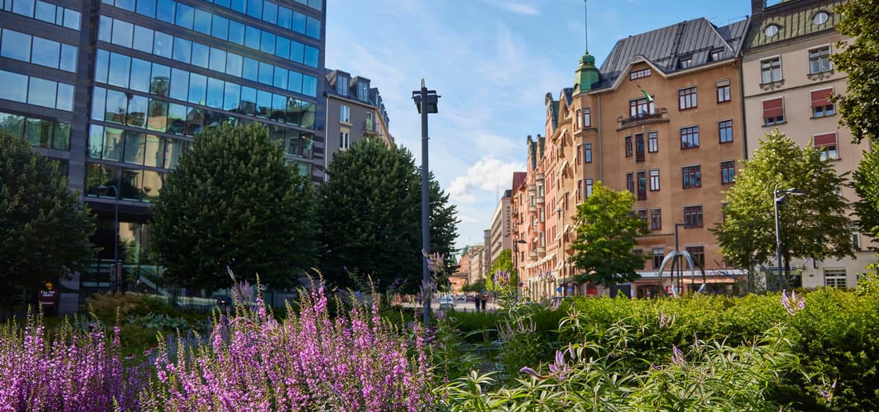 Parkmiljö i sommarsolen. Norra Bantorget i Stockholm.