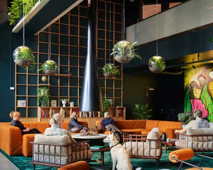 Lounge med människor och en hund.