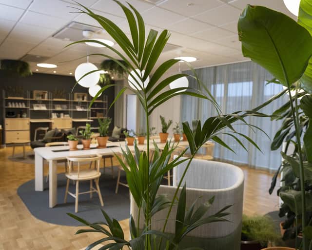 Öppen touchdown yta med mycket gröna växter