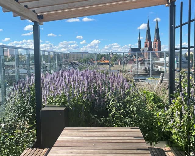 Visionsbild av fastigheten.