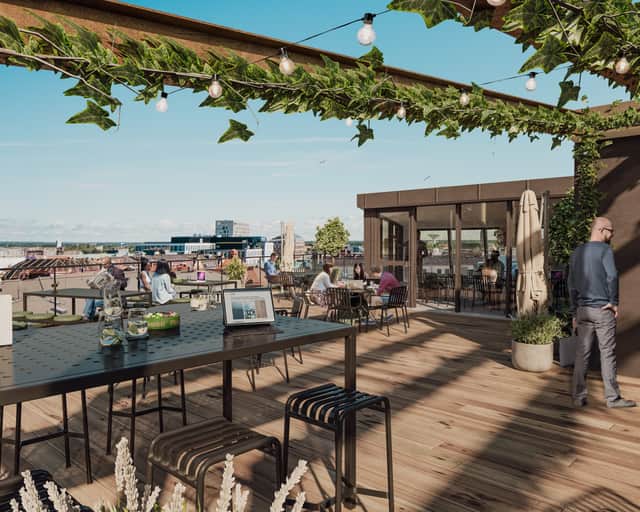 Takterass med möbler och gröna växtslingor på pergola