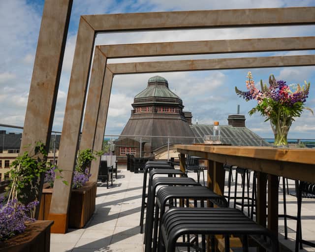 Takterass med möbler och gröna växtslingor på pergola