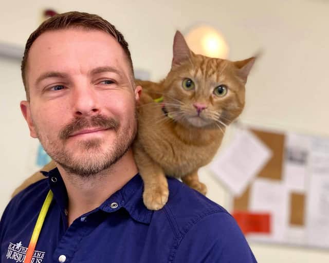 Veterinär med katt.