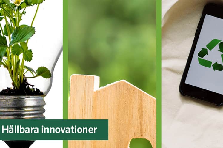 Bildkollage med miljötema.