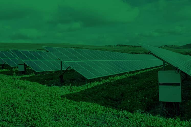 Solpaneler på ett grönt tak.