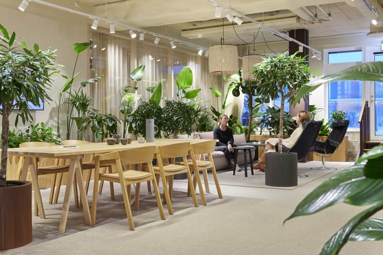 Interiörbild över Castellums kontor i Värtahamnen, fyllt av grönska och trämaterial.