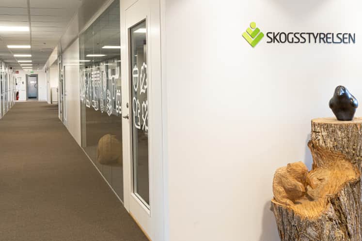 Interiörbild med korridor och vit vägg med texten Skogsstyrelsen.