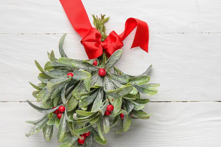 En julig mistel med rött band på vita träplankor