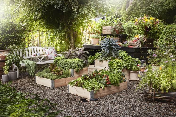 Pallkragar med växter i, grusad gård.