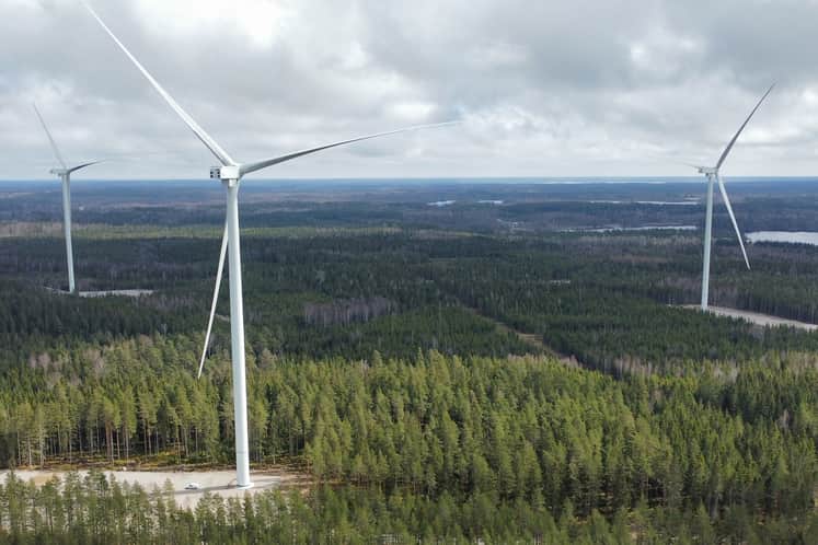Vindkraftverk som står bland skog 