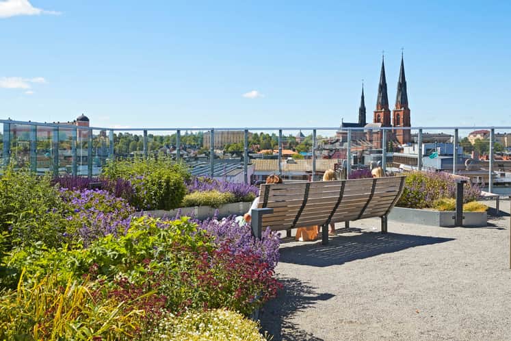 En takterrass med utsikt över Uppsala domkyrka och Uppsala slott.