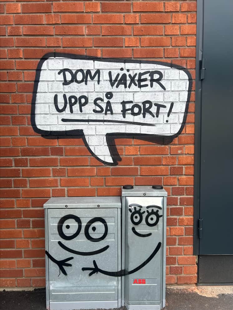 Målning på vägg och elskåp